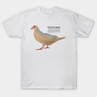 Domestic pigeon walking black text T-Shirt